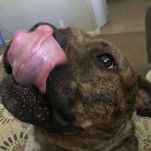 Meet your Posher, Gary